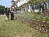 マリーゴールドとサルビア