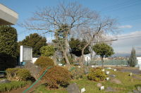 岩石園