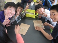 5年生 ヨウ素液をかけると 深谷市立岡部西小学校