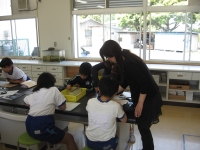 5年生 ヨウ素液をかけると 深谷市立岡部西小学校